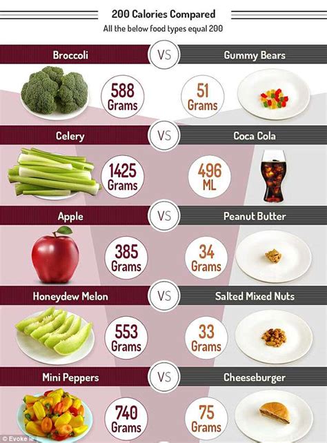 Daily Calorie Intake Of Countries Across The World Revealed Daily