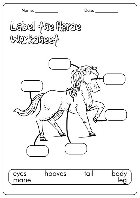 18 Horse Study Worksheets Free Pdf At