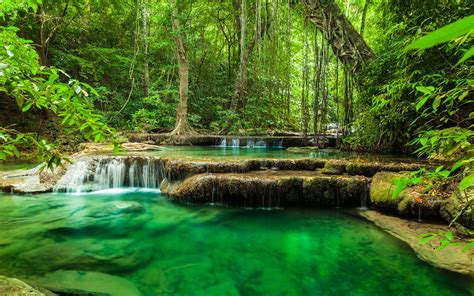 Fonds Decran 3840x2400 Tropique Forêts Rivières Chute Deau Jungle