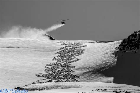 You can also upload and share your favorite chilledcow wallpapers. CMH Bobbie Burns, British Columbia, Canada. Pic: BPSphoto ...