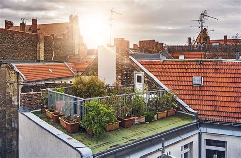 If you live in an apartment or a house with no yard, rooftop gardens can let you cultivate ornamental trees and. Urban Gardening for Beginners | Physio Logic NYC