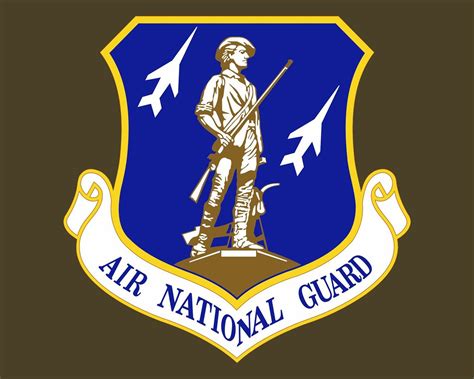 Air National Guard Emblem Ang Logo Vinyl Decal Sticker For Cars Trucks