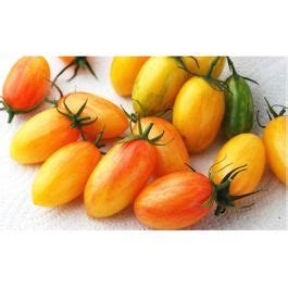 Tomato Seeds Artisan Blush Tiger
