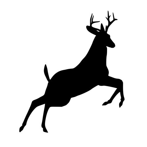 Free Images Deer Jumping Silhouette Leaping Wildlife Reindeer