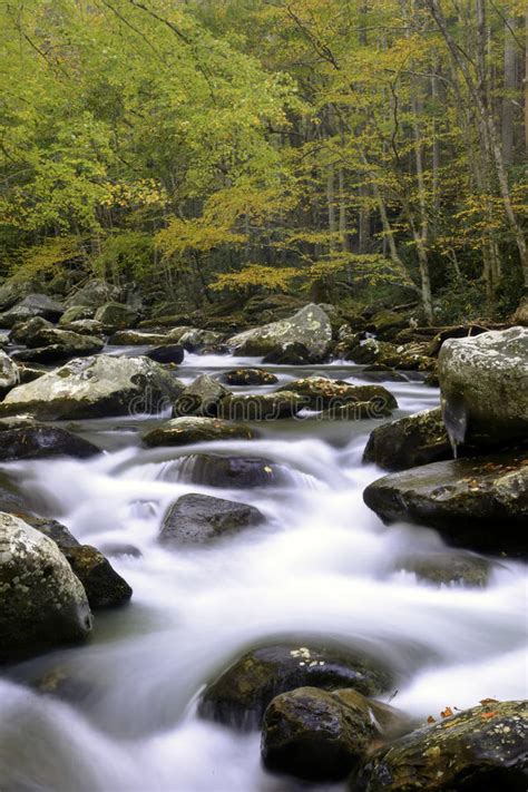 Smoky Mountain Fall Stream Stock Photo Image Of Forest 48470046