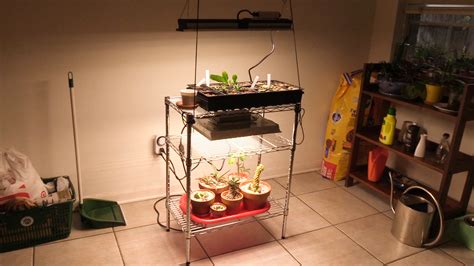We did not find results for: DIY Grow Light Stand: 2 levels, 2 lights, one shelf - Sucs ...