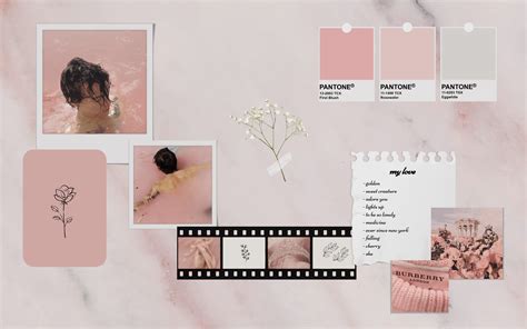 Blush Pink Desktop Wallpapers Top Free Blush Pink Desktop Backgrounds WallpaperAccess