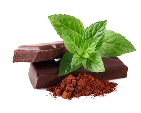 Celebrating Chocolate Mint Day Sweet Services Blog