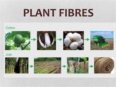 Ppt Fiber To Fabric Powerpoint Presentation Free Download Id1841941
