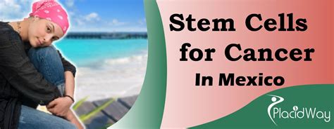 Since that time, mexico cancer centers have treated thousands of patients various treatments including stem cell therapy, oxygen therapy, vitamin c and k, and best cancer treatment in mexico allows users to compare and choose the best mexican cancer clinics and hospitals in mexico. Stem Cell Therapy Treatment Package for Cancer in Mexico