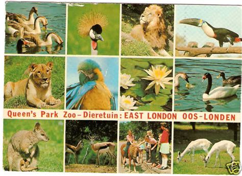 East London Zoo - ZooChat