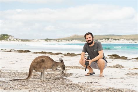 Lucky Bay Kangaroos Everything You Need To Know Lydia And Wehan