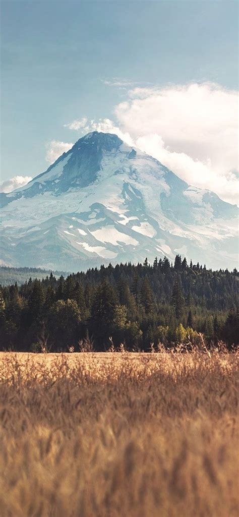 1242x2688 Landscape Mountain Iphone Xs Max Hd 4k Wallpapers Images