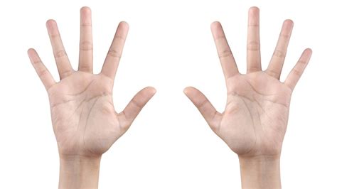 Ring Finger Longer Than Index Finger As A Result Most Men Have Ring