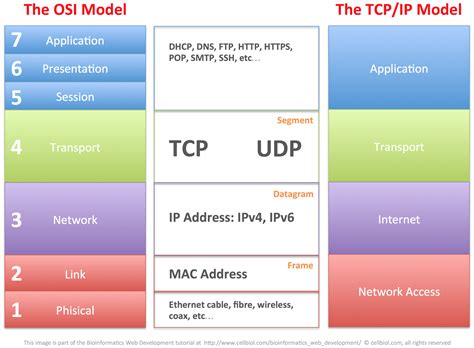 Difference Between Osi Model Vs Tcp Ip Model Osi Model Data Network Hot Sex Picture