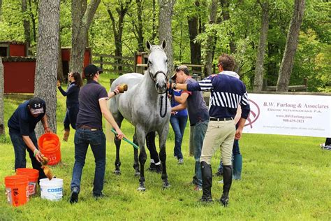 Behind The Scenes With A Four Star Eventing Barn The Horse