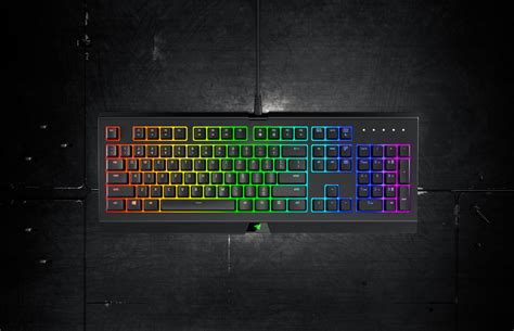 Razer Launches Value Oriented Cynosa Chroma Keyboards Evga Forums