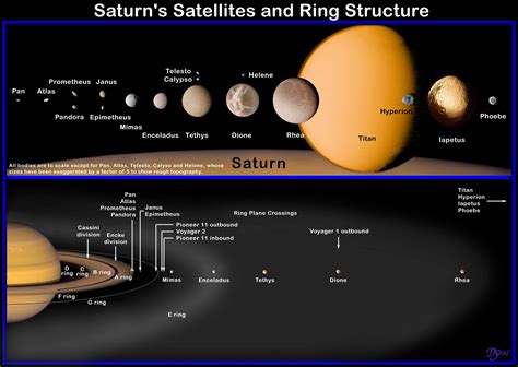 Saturn Rings And Moons Saturns Moons Saturn Astronomy Facts