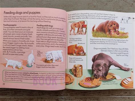 The Usborne First Book Of Pets And Pet Care купить в интернет