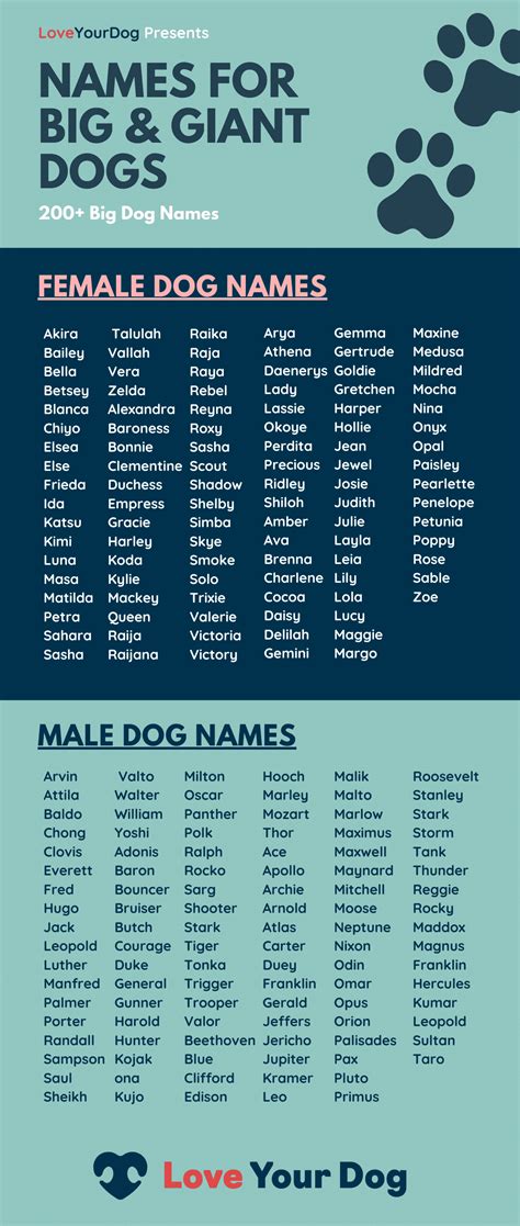 Big Dog Names 200 Different Names For Male And Female Giant Breeds Big