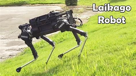 Laikago Four Legged Dog Robot Created By Unitree Robotics Looks Like