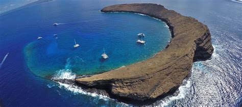 Kohala divers is a 5 star padi training facility and caters to local residents and visitors to earn worldwide recognized dive certifications. Why Snorkel at Molokini? | Maui Hawaii Discount Activities