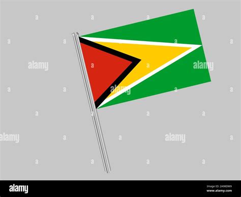 National Flag Of Cooperative Republic Of Guyana Original Colors And