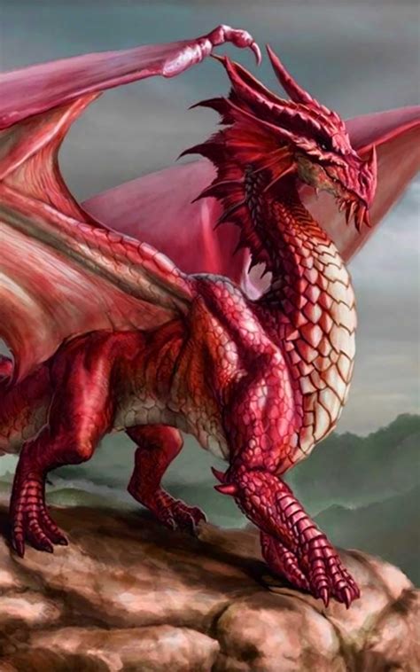 Red Dragon 2400x3840 Download Hd Wallpaper Wallpapertip