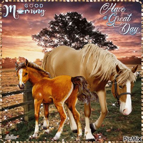 Beautiful Horses Good Morning Have A Great Day Pictures Photos And