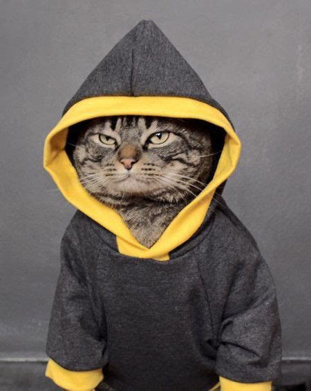 One Of The Gangster Cats Corner Boys Kittens In Costumes Cat
