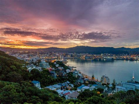When Is The Best Time To Visit Wellington Travel Insider