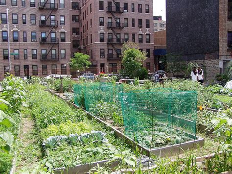 Big City Sustainability Better Urban Homes With Gardens