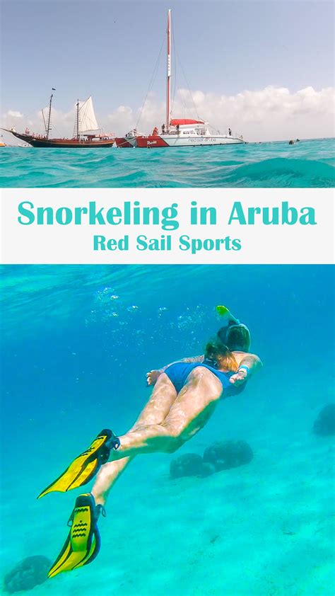 best snorkeling in barbados beaches tours and tips artofit