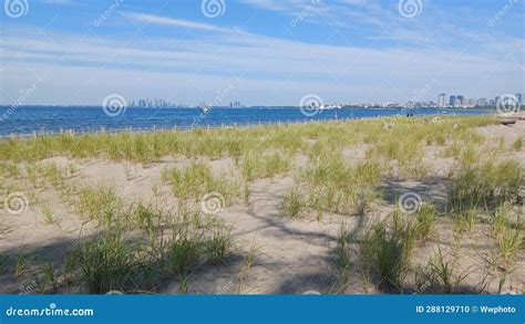Hanlan S Point Nude Beach View On Toronto Islands Stock Photo Image Of Summer Water