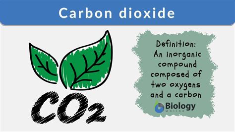Carbon Dioxide Definition And Examples Biology Online Dictionary