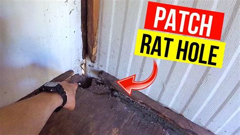 How To Fill A Rat Hole In Garden How To Close A Rat Hole In A Garden