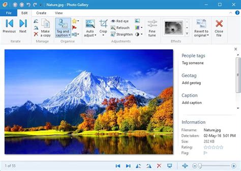 Things You Should Know About Windows Live Photo Gallery Windows 10