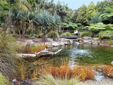 Australian Botanic Garden Our Walks