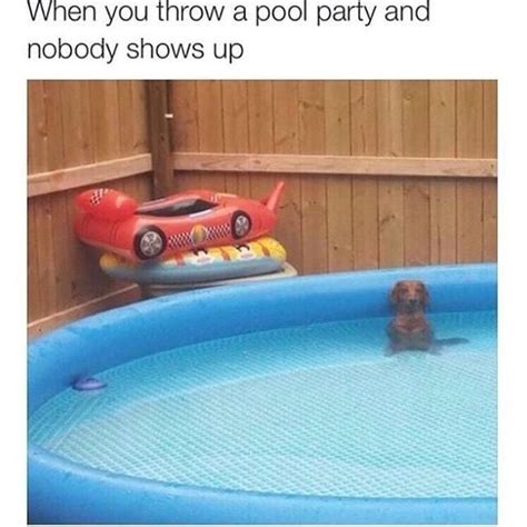Summer Pool Memes — Funny Pictures