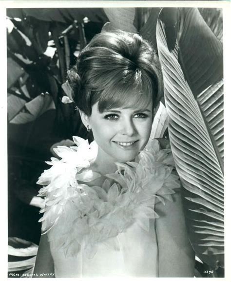 Deborah Walley Photo Deb Walley Beautiful Celebrities Photo Celebrities