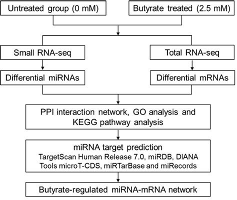 Flow Chart Of Mirna Mrna Network Construction Associated With The