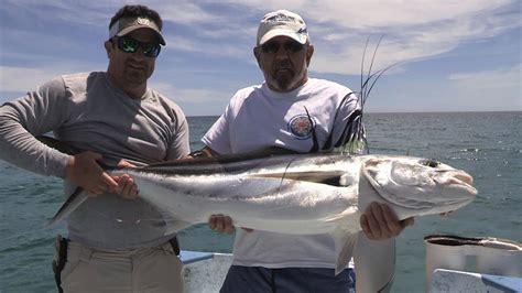 Baja Wahoo Tuna Amberjack And Roosterfish Fishing Youtube