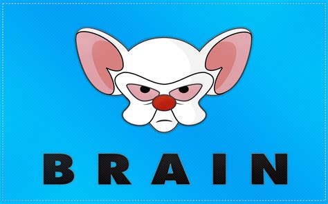 Facts About Brain Pinky And The Brain Facts Net
