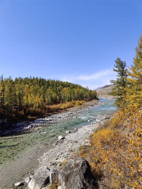 Irkut River Siberia Stock Image Image Of Valley Autumn 260367297