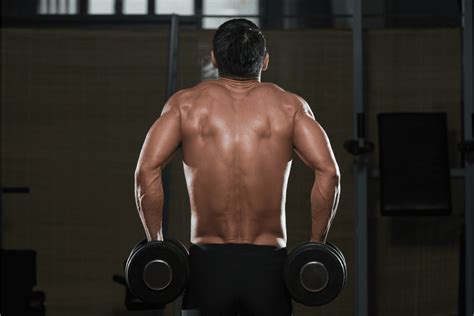 Barbell Shrugs Vs Dumbbell Shrugs Which Should You Choose Horton Barbell