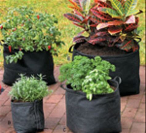 Grow Bags A Growing Trend In Edible Gardening Horticulture