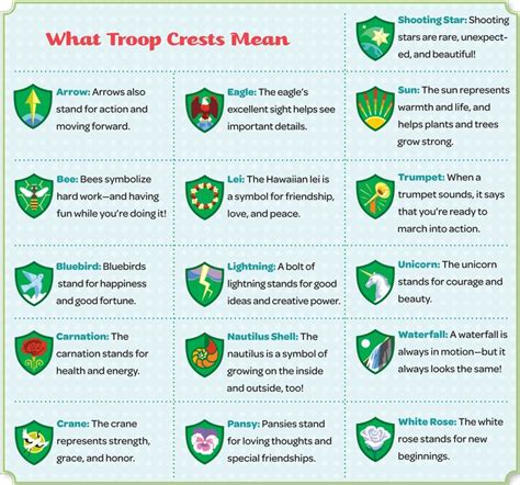 Troop Crest Chart From The Girls Guide To Girl Scouting Girl Scout Camping Girl Scout