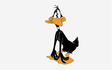 Looney Tunes Daffy Duck Cartoon Character Hd Wallpaper Wallpaper Flare