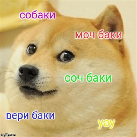 For Those Having Trouble Remembering The Russian For Dogs Russian Doge Meme Doge Memes