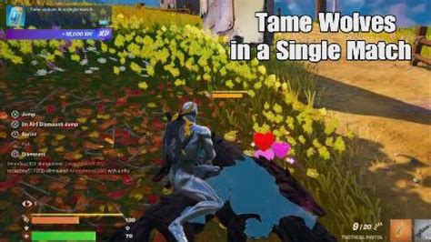 Tame Wolves In A Single Match Fortnite Discover The Seasons Quest Chapter 4 Season 1 Youtube
